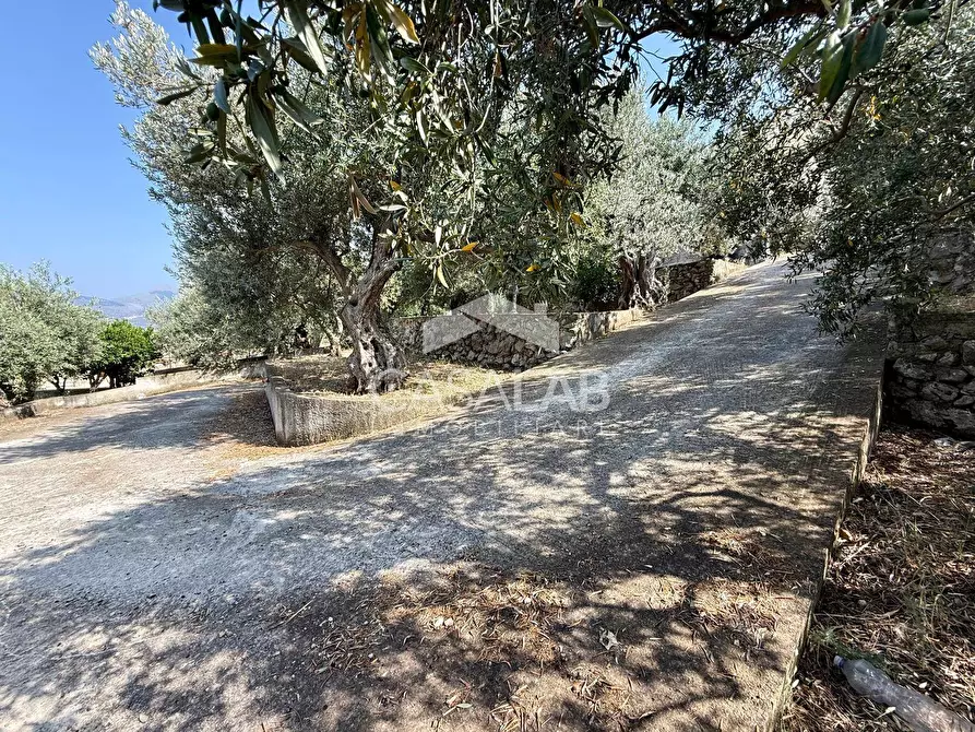 Immagine 20 di Villa in vendita  in Via Egitto 59 a Carini