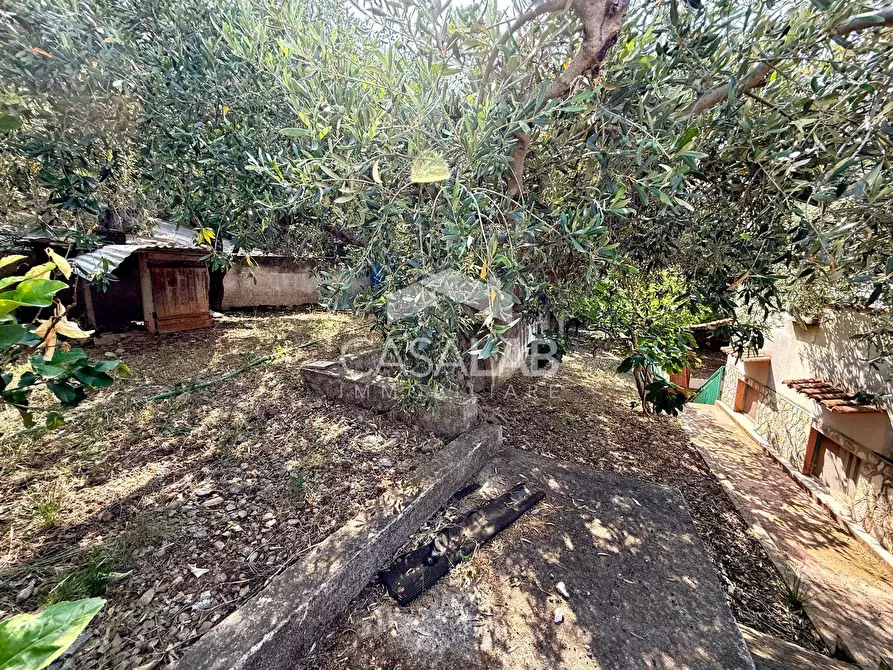 Immagine 19 di Villa in vendita  in Via Egitto 59 a Carini