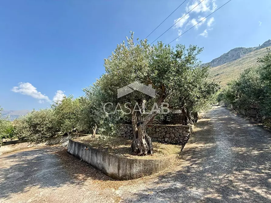 Immagine 21 di Villa in vendita  in Via Egitto 59 a Carini