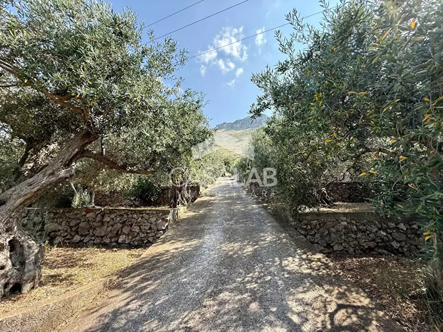 Immagine 25 di Villa in vendita  in Via Egitto 59 a Carini