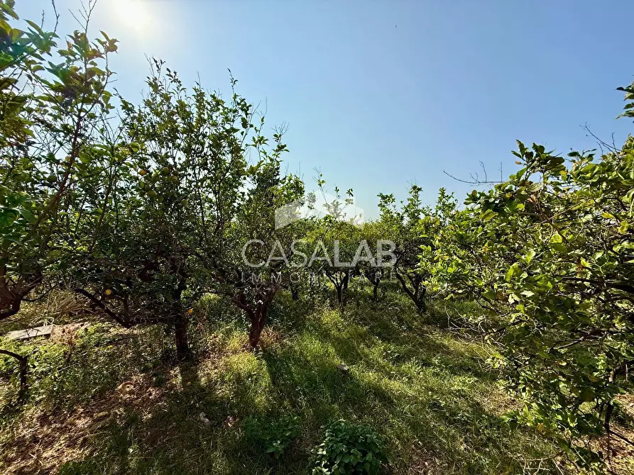 Immagine 32 di Villa in vendita  in Via Sotto Colubrino a Carini