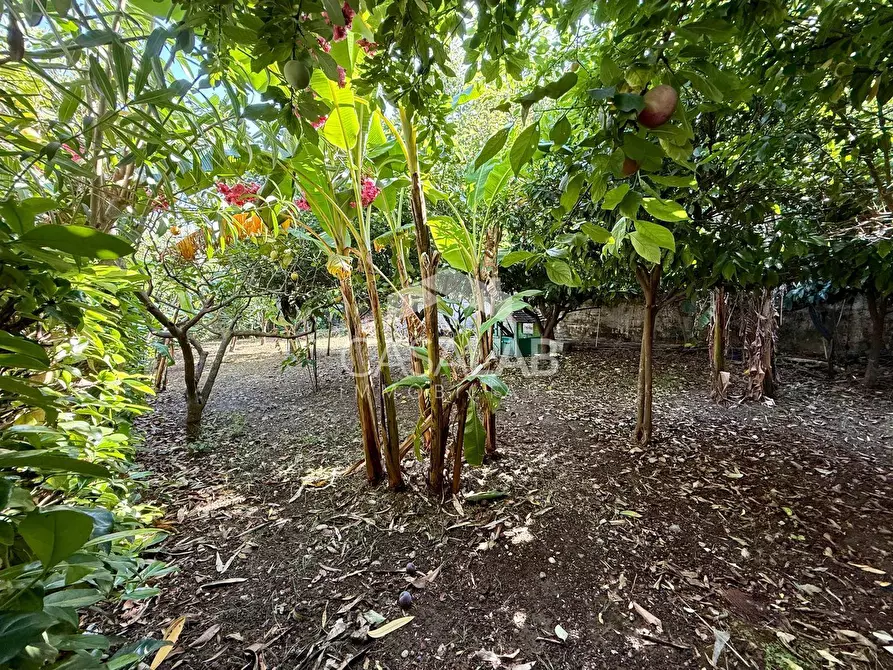 Immagine 32 di Villa in vendita  in Via Fondo Crocco 43 a Carini