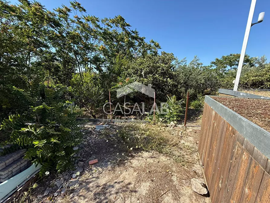 Immagine 7 di Terreno agricolo in vendita  in Via Brindisi 47 a Carini