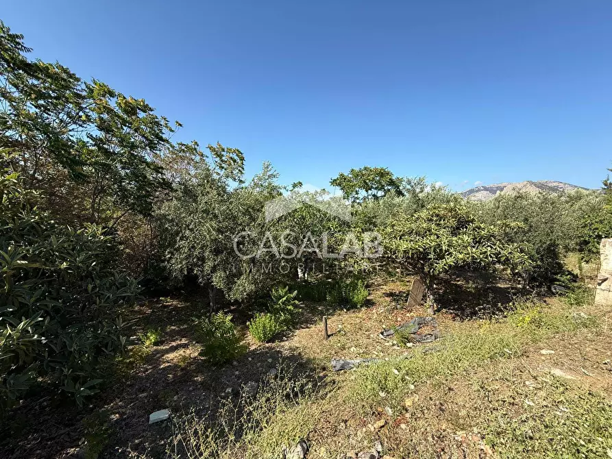 Immagine 10 di Terreno agricolo in vendita  in Via Brindisi 47 a Carini