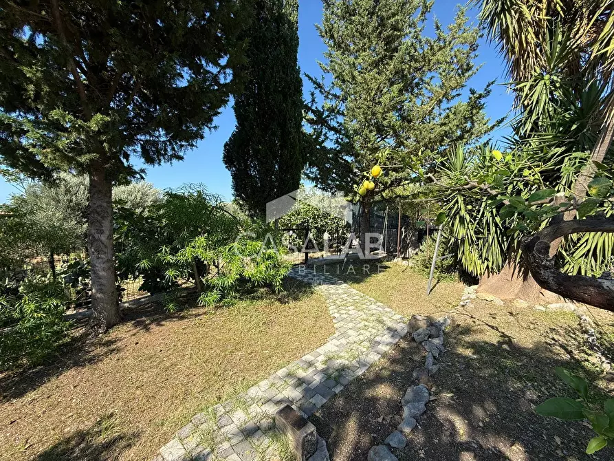 Immagine 6 di Terreno agricolo in vendita  in Via Brindisi 47 a Carini