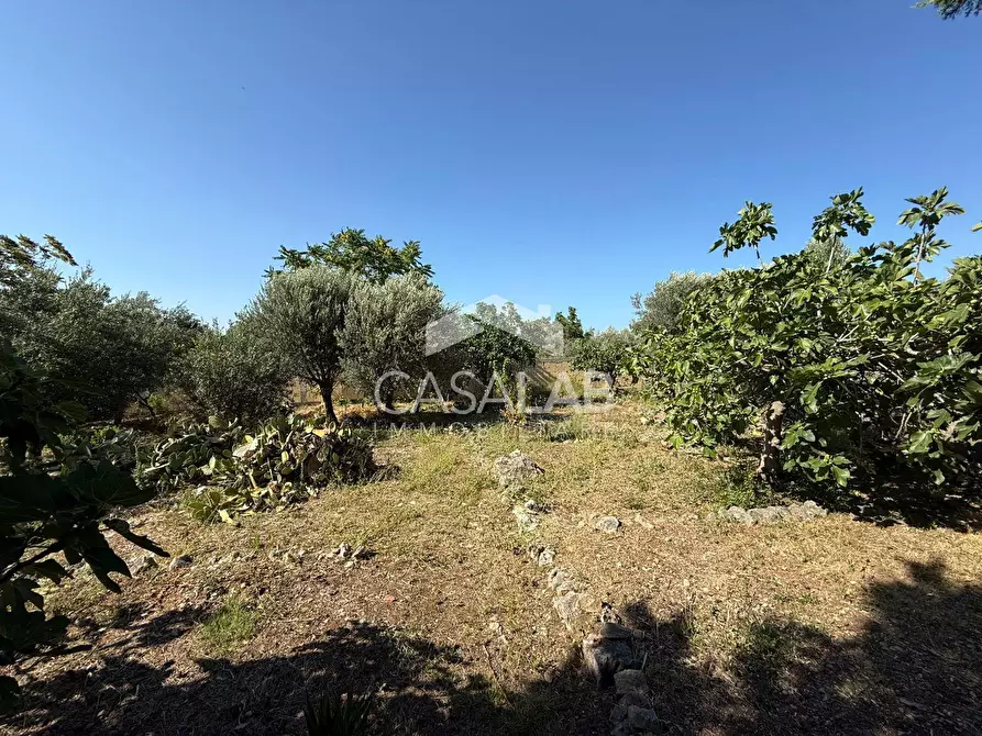 Immagine 13 di Terreno agricolo in vendita  in Via Brindisi 47 a Carini