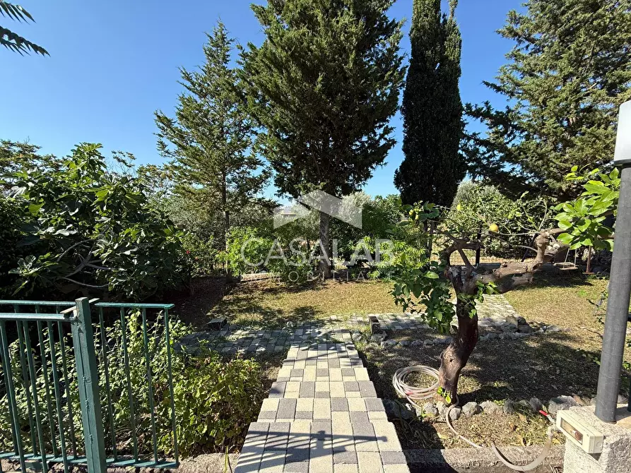 Immagine 5 di Terreno agricolo in vendita  in Via Brindisi 47 a Carini