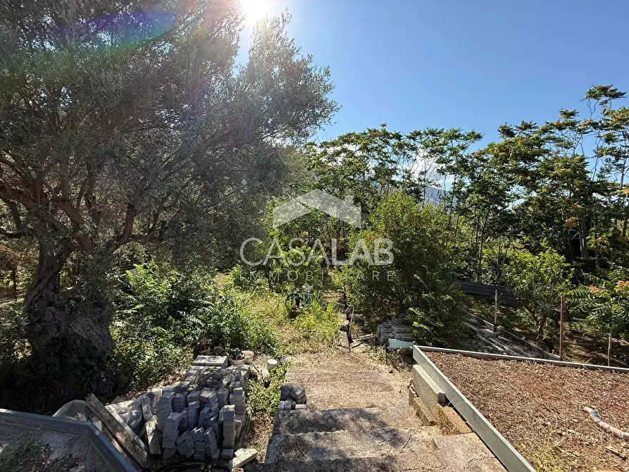 Immagine 15 di Terreno agricolo in vendita  in Via Brindisi 47 a Carini