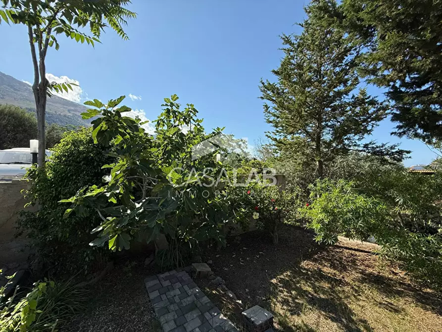 Immagine 16 di Terreno agricolo in vendita  in Via Brindisi 47 a Carini