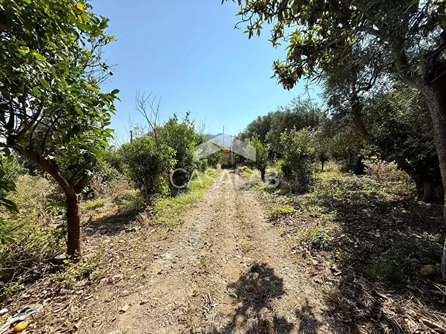 Immagine 3 di Terreno agricolo in vendita  in Via Aldo Moro a Carini