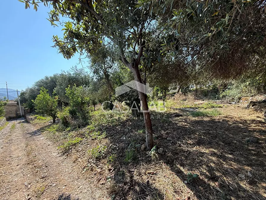 Immagine 4 di Terreno agricolo in vendita  in Via Aldo Moro a Carini