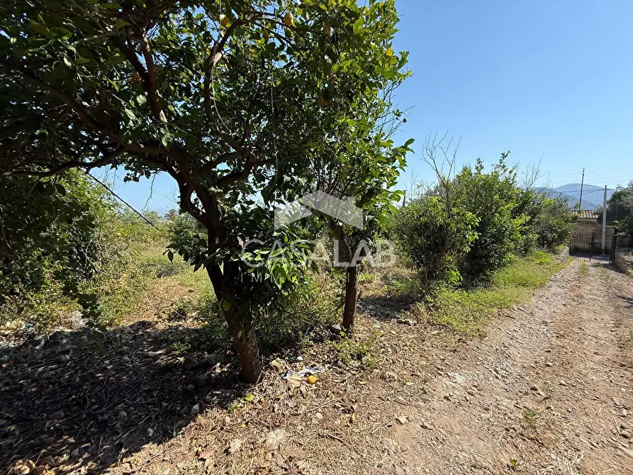 Immagine 5 di Terreno agricolo in vendita  in Via Aldo Moro a Carini