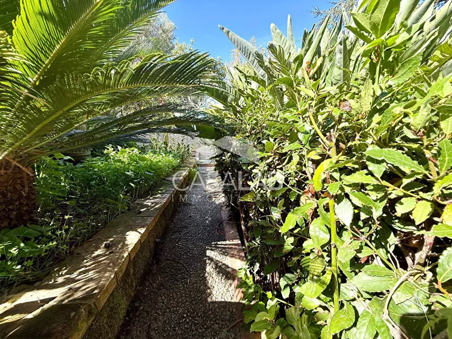 Immagine 18 di Villa in vendita  in Via Cangialosi 180 a Carini