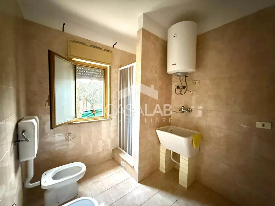 Immagine 13 di Villa in affitto  in via romania 24 a Carini