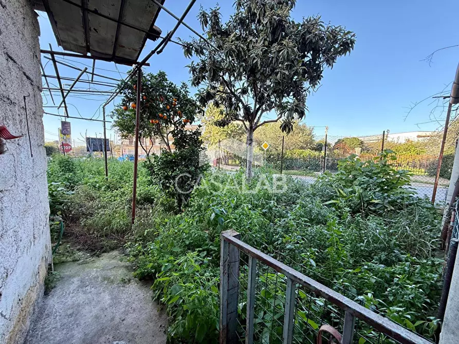 Immagine 6 di Villa in vendita  in via bivio foresta snc a Carini