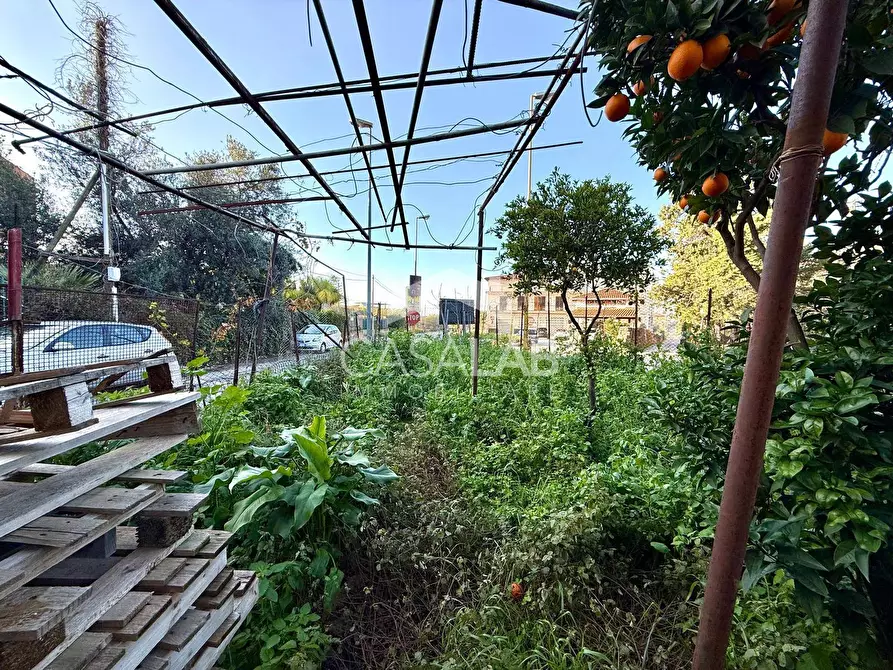 Immagine 14 di Villa in vendita  in via bivio foresta snc a Carini