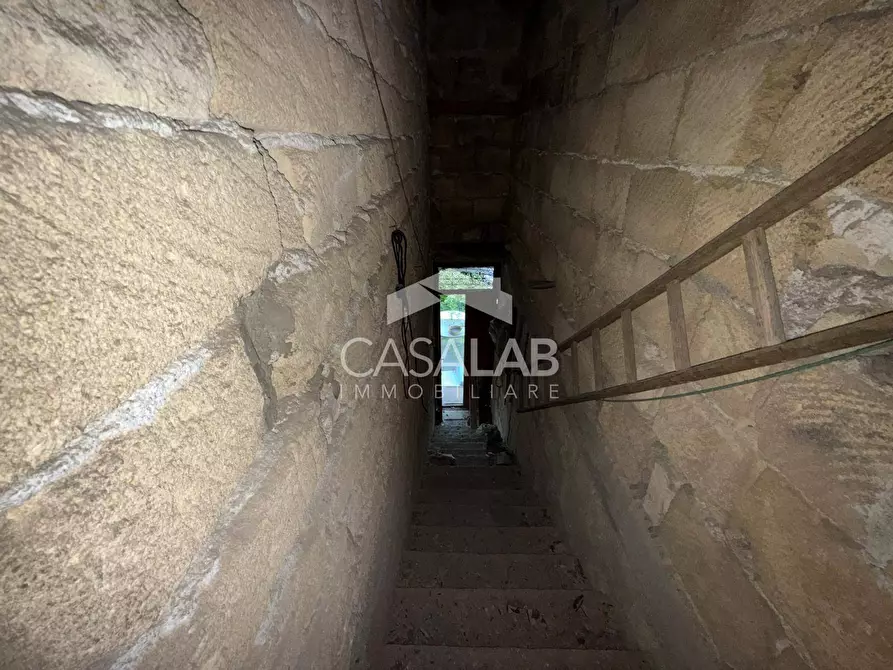 Immagine 15 di Villa in vendita  in via bivio foresta snc a Carini