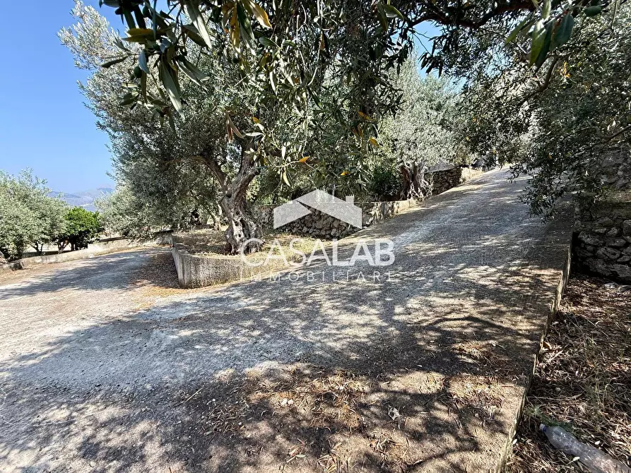 Immagine 21 di Villa in vendita  in via egitto 59 a Carini