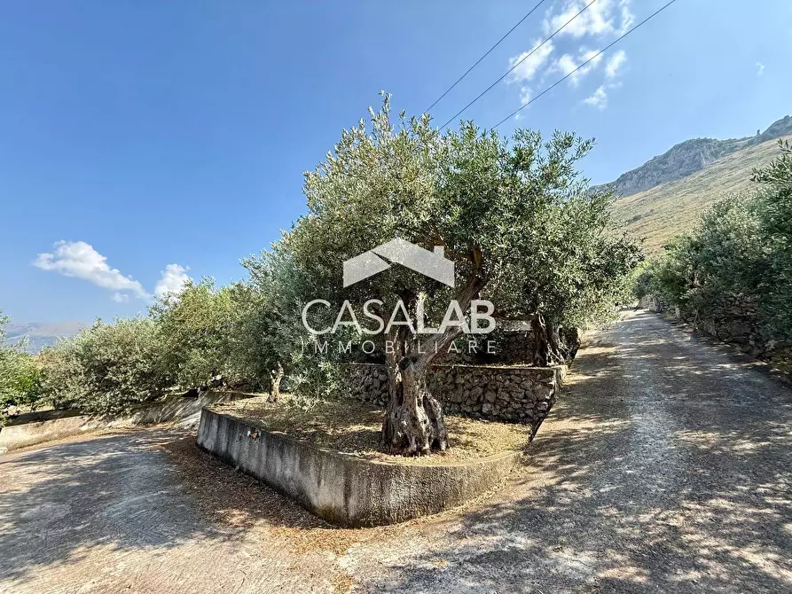 Immagine 22 di Villa in vendita  in via egitto 59 a Carini