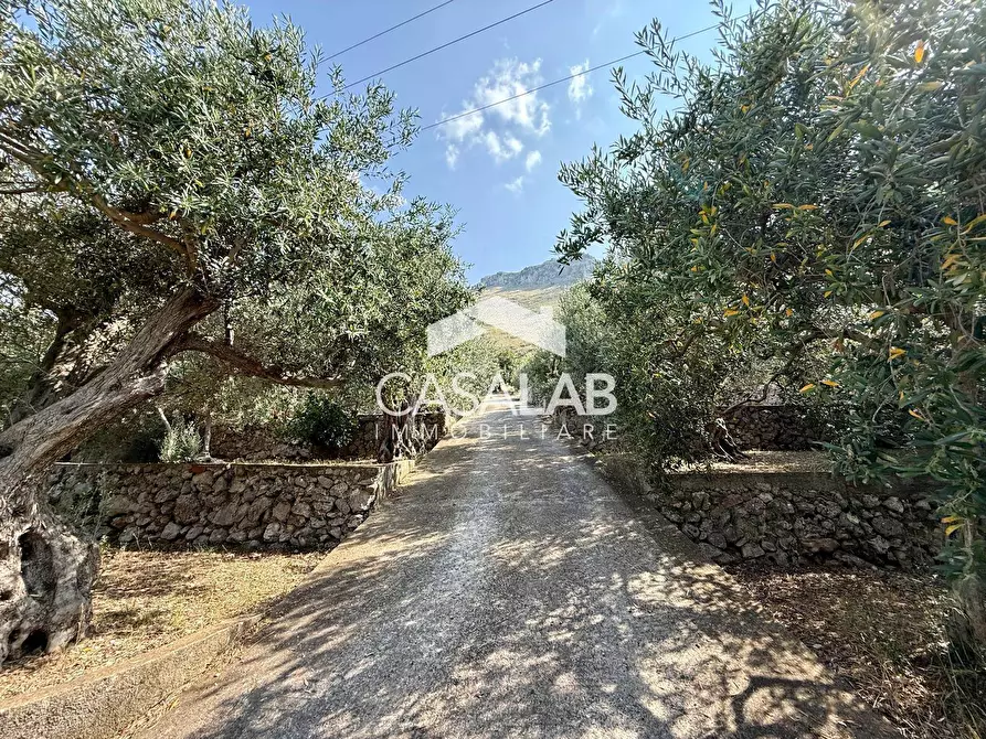 Immagine 25 di Villa in vendita  in via egitto 59 a Carini