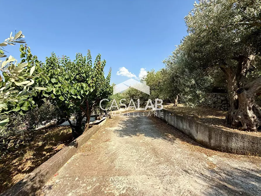 Immagine 26 di Villa in vendita  in via egitto 59 a Carini