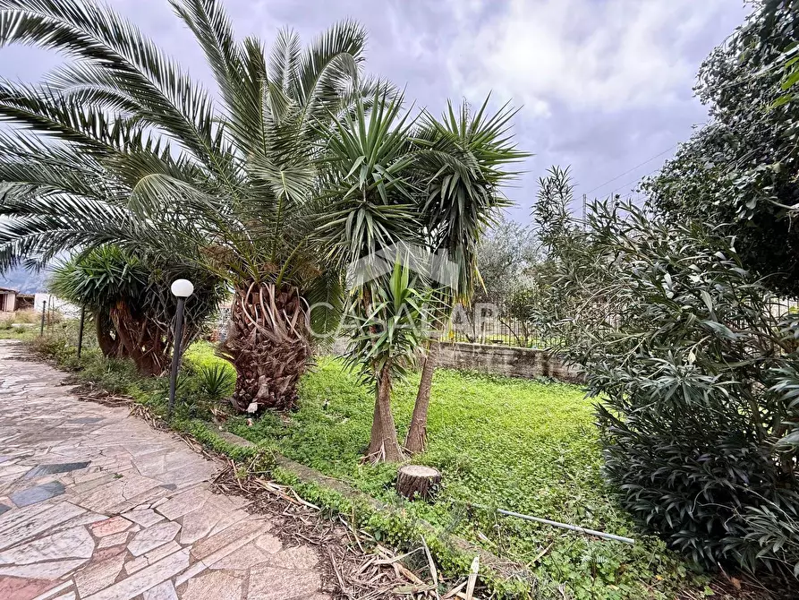 Immagine 3 di Terreno agricolo in vendita  in Via Ponticelli snc a Carini