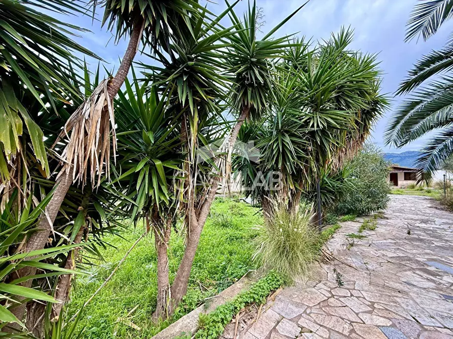 Immagine 4 di Terreno agricolo in vendita  in Via Ponticelli snc a Carini