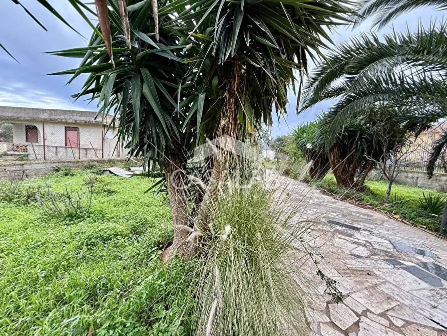 Immagine 16 di Terreno agricolo in vendita  in Via Ponticelli snc a Carini