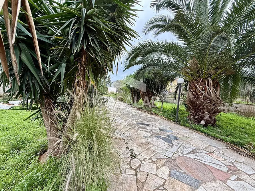 Immagine 17 di Terreno agricolo in vendita  in Via Ponticelli snc a Carini