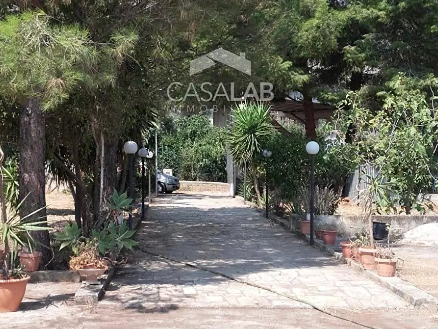 Immagine 18 di Terreno agricolo in vendita  in Via Ponticelli snc a Carini