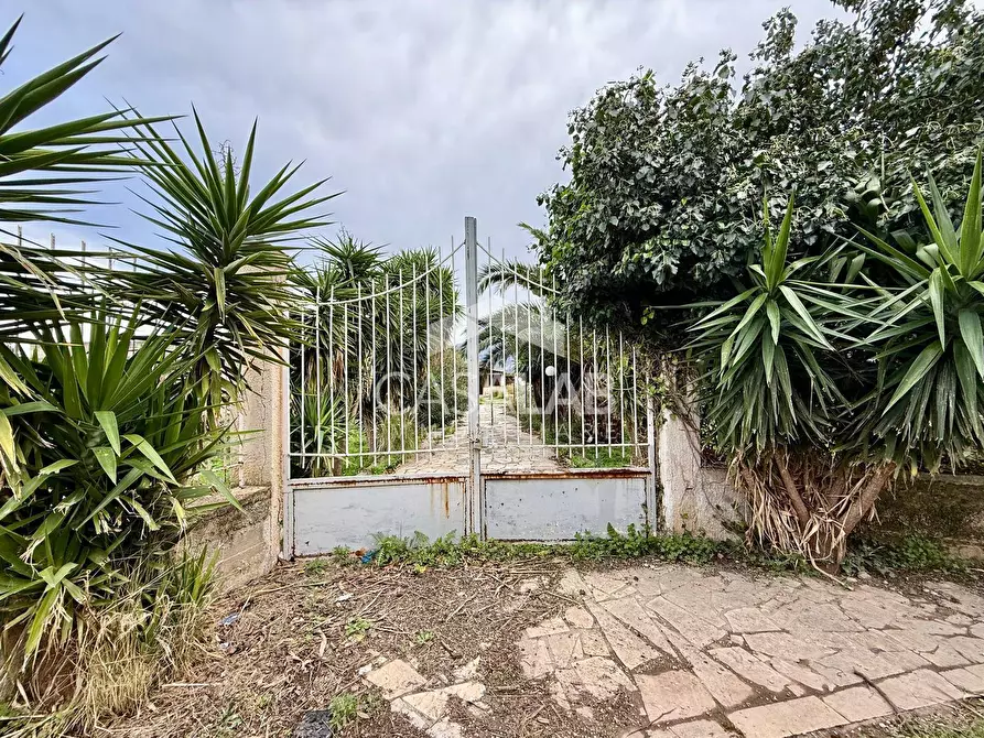 Immagine 1 di Terreno agricolo in vendita  in Via Ponticelli snc a Carini