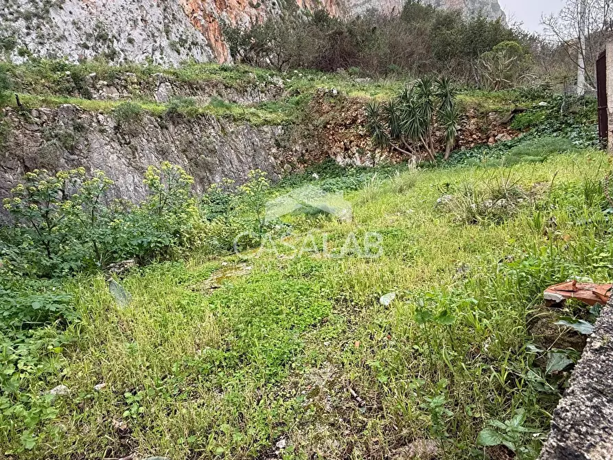 Immagine 6 di Terreno agricolo in vendita  in via calipso snc a Carini