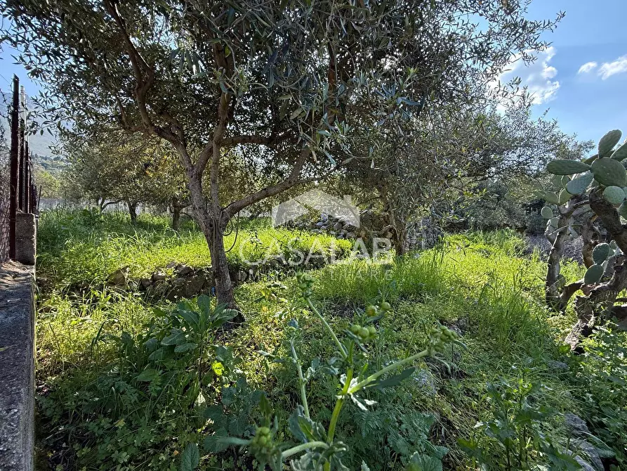 Immagine 2 di Terreno residenziale in vendita  in via Moscala snc a Carini
