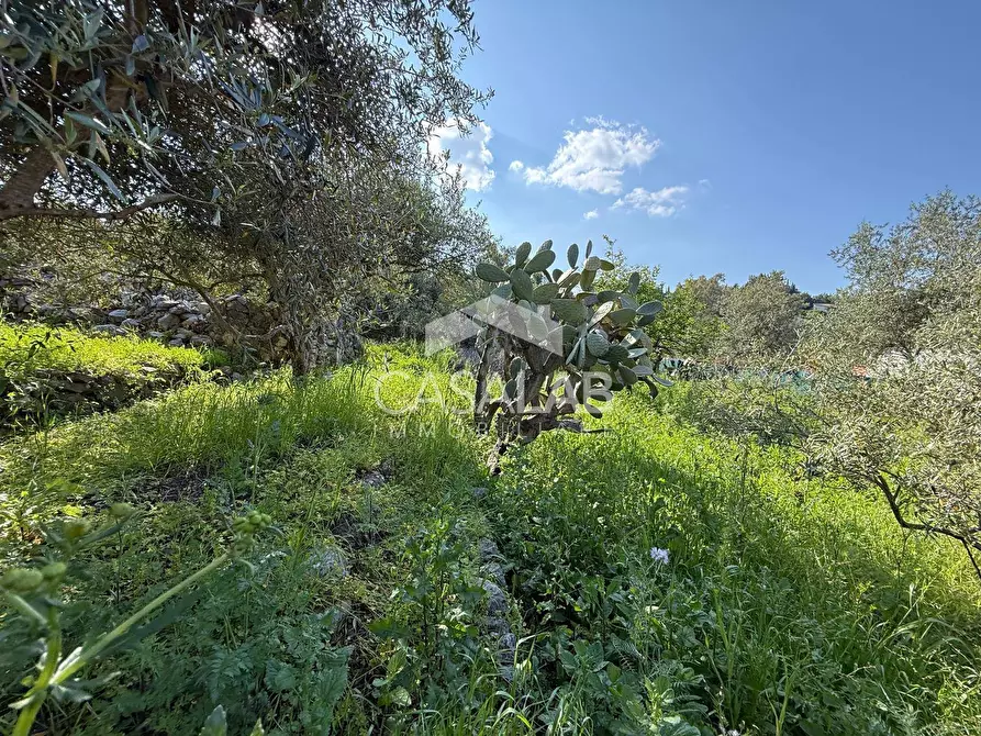 Immagine 3 di Terreno residenziale in vendita  in via Moscala snc a Carini