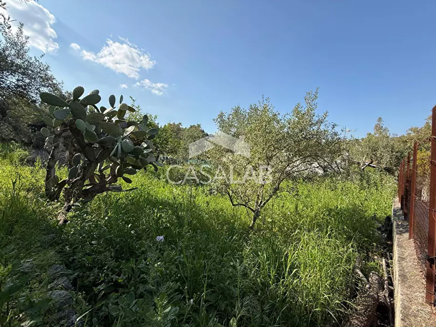 Immagine 4 di Terreno residenziale in vendita  in via Moscala snc a Carini