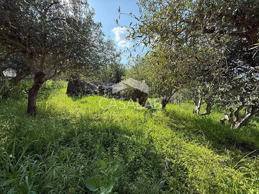 Immagine 5 di Terreno residenziale in vendita  in via Moscala snc a Carini