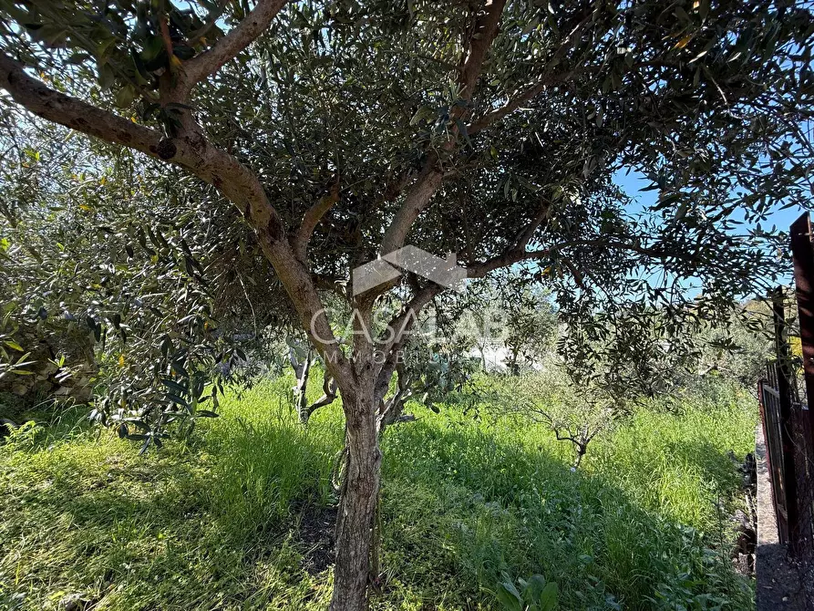 Immagine 1 di Terreno residenziale in vendita  in via Moscala snc a Carini