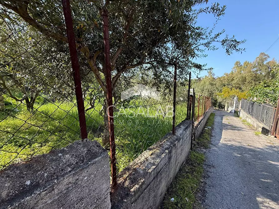 Immagine 6 di Terreno residenziale in vendita  in via Moscala snc a Carini