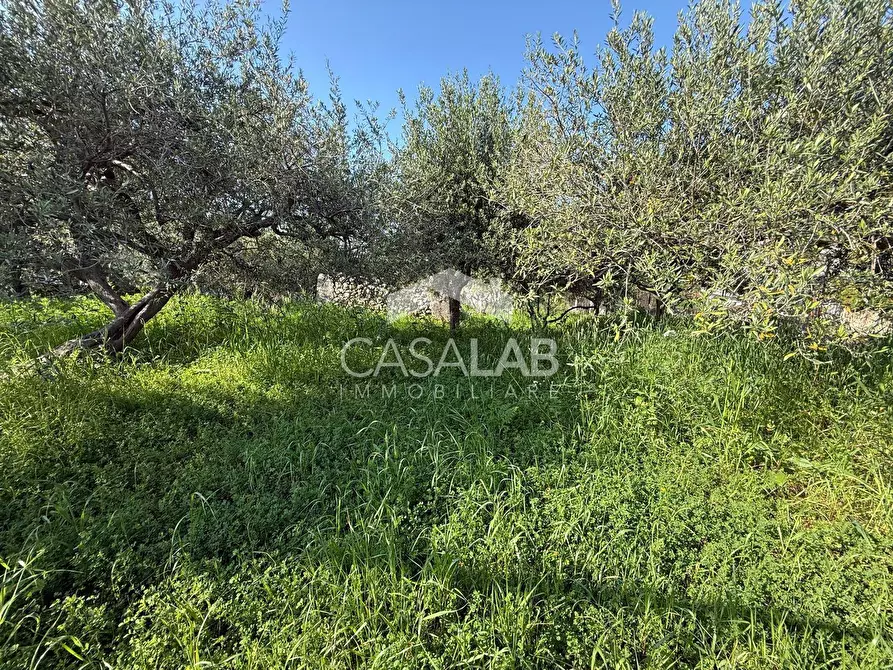 Immagine 8 di Terreno residenziale in vendita  in via Moscala snc a Carini