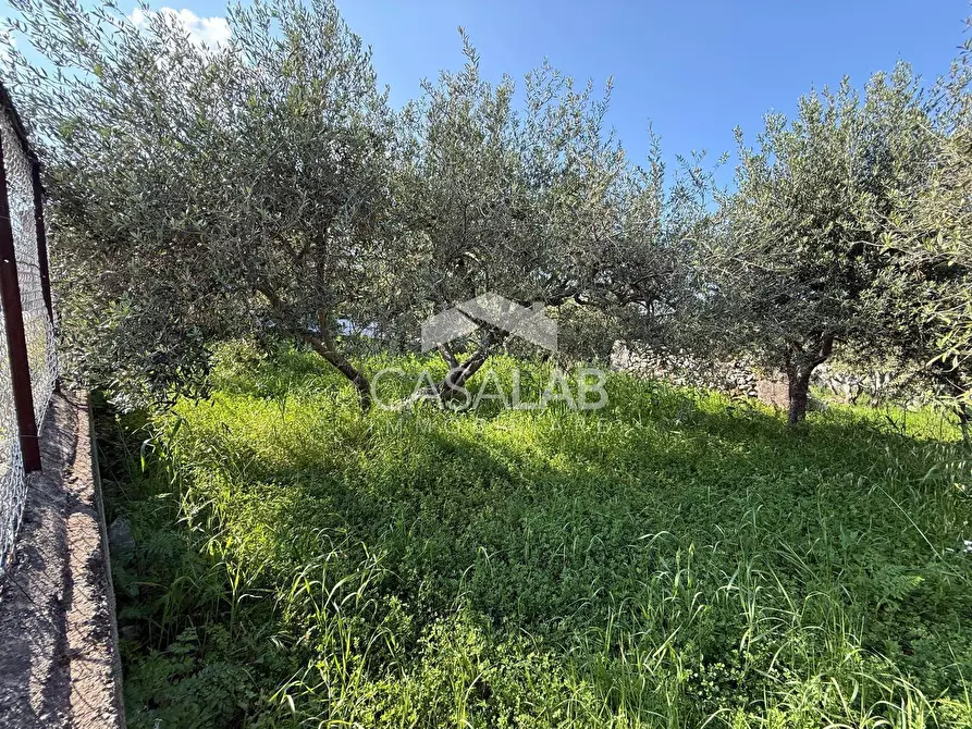 Immagine 9 di Terreno residenziale in vendita  in via Moscala snc a Carini