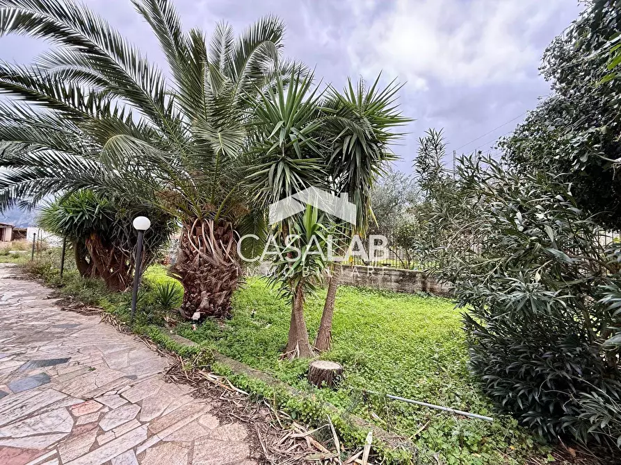 Immagine 3 di Terreno agricolo in vendita  in Via Giaconia snc a Carini