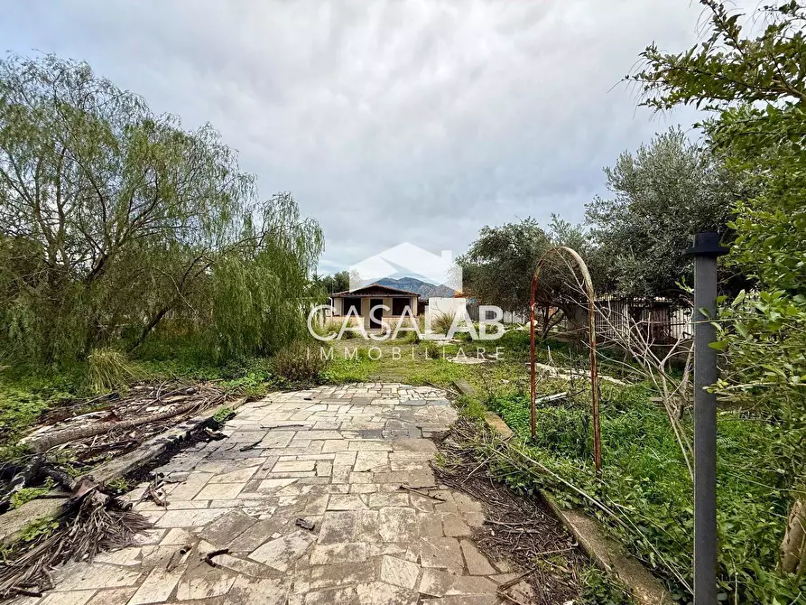 Immagine 5 di Terreno agricolo in vendita  in Via Giaconia snc a Carini