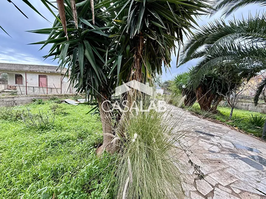 Immagine 16 di Terreno agricolo in vendita  in Via Giaconia snc a Carini