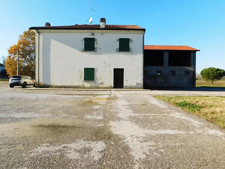 Immagine 5 di Rustico / casale in vendita  in Reale Voltana 222 a Alfonsine