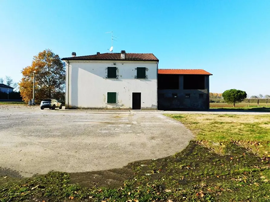 Immagine 8 di Rustico / casale in vendita  in Reale Voltana 222 a Alfonsine