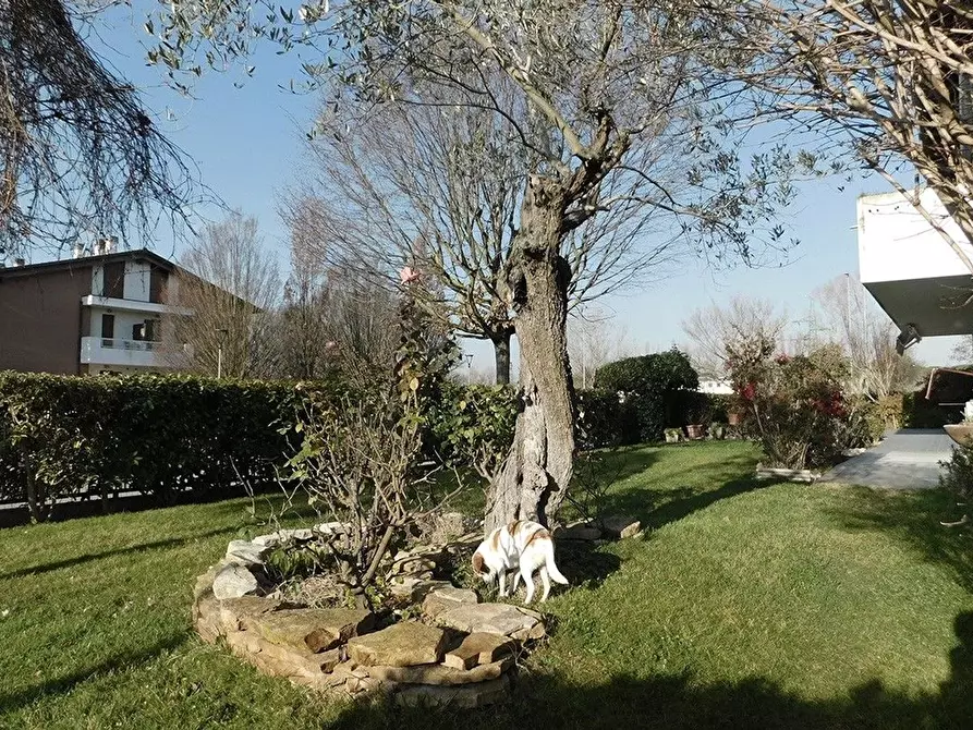 Immagine 6 di Appartamento in vendita  in delle Camelie a Cervia