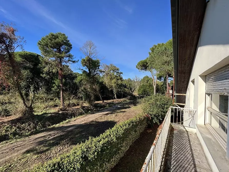 Immagine 29 di Casa indipendente in vendita  in X Traversa a Cervia