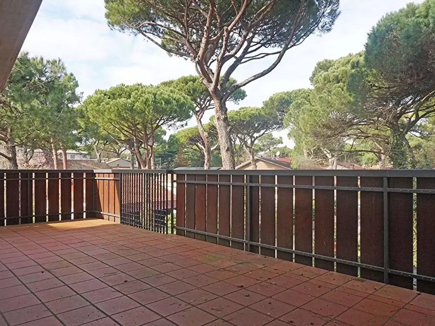 Immagine 18 di Villa in vendita  in Verdi a Cervia