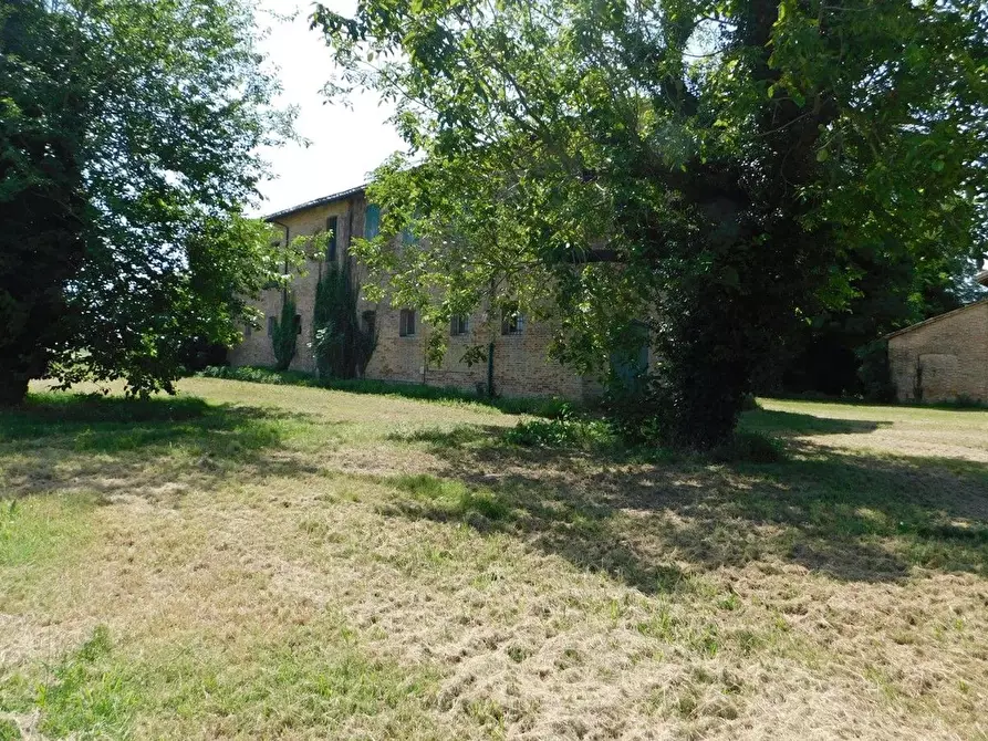 Immagine 5 di Rustico / casale in vendita  in Chiavica Fenaria a Ravenna
