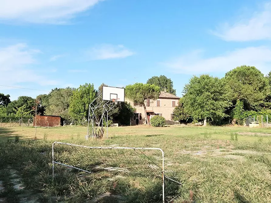Immagine 39 di Villa in vendita  in Ponte della Vecchia a Ravenna